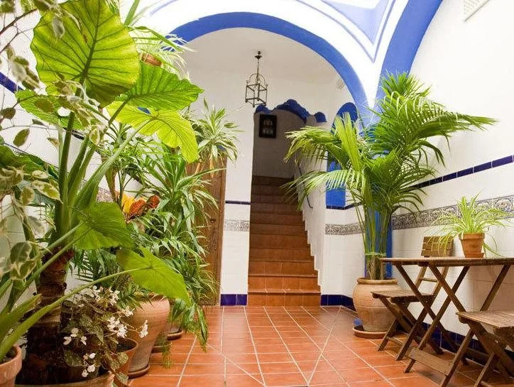 Hostal Africa