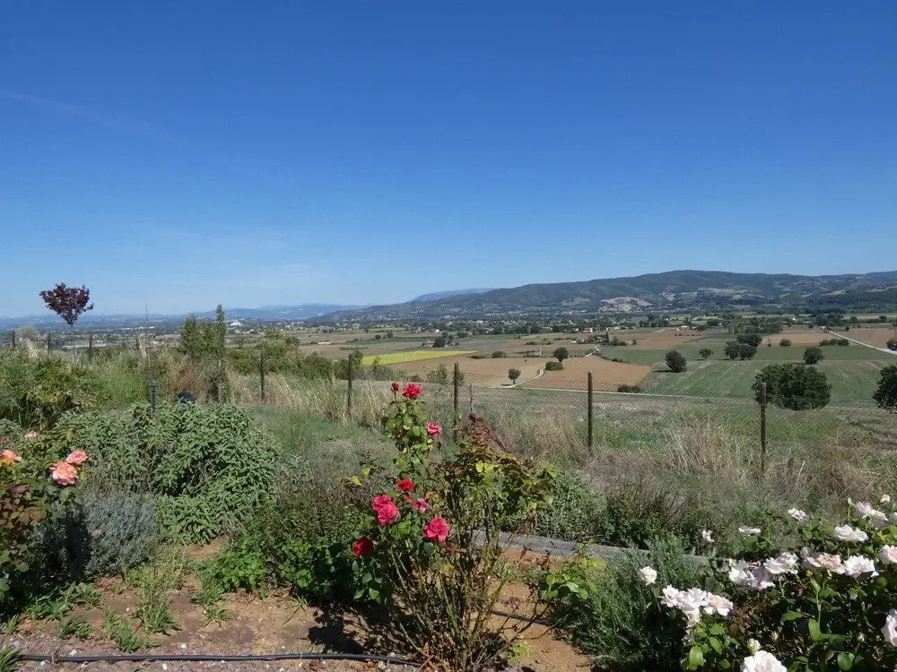 Scappo In Umbria, Casale le Stelle Num003