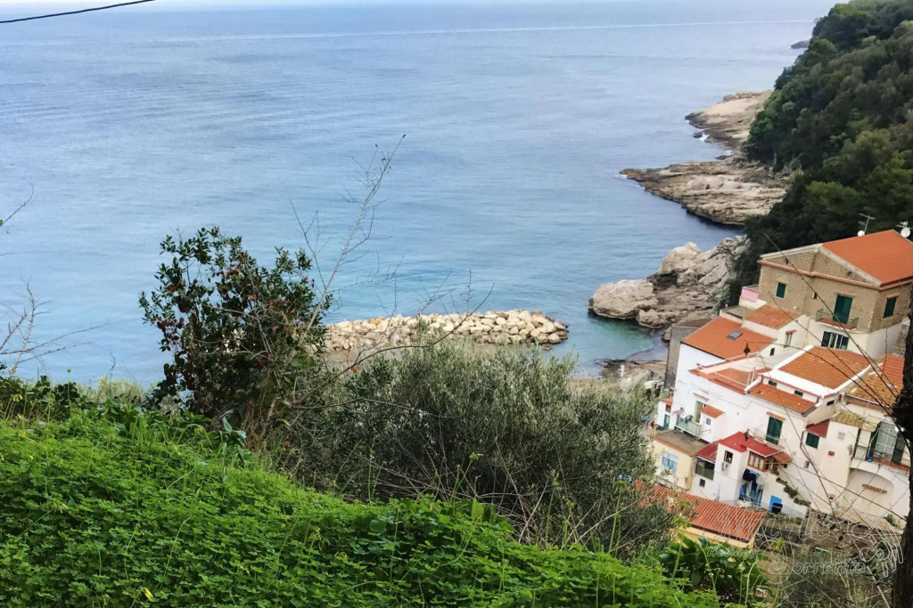 Maison del Mare Sorrento Sea View