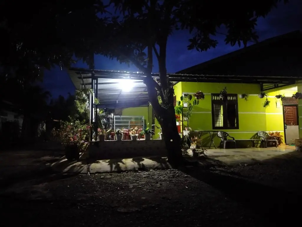 Jungle View Homestay & Guesthouse Only Stay Here Book Treking With Us