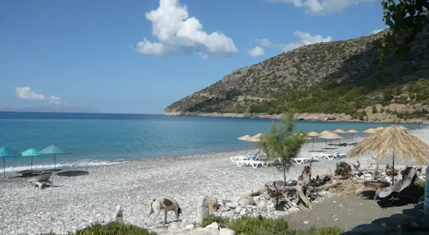Beach House
