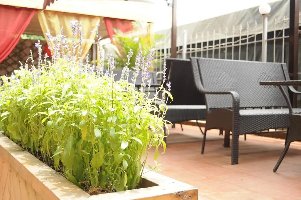 Shuhaiwan Guest House