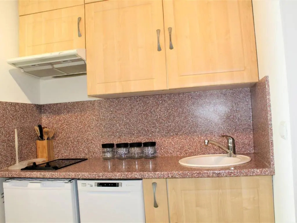Appartement Villeneuve-Loubet, 1 pièce, 4 personnes - FR-1-252A-17
