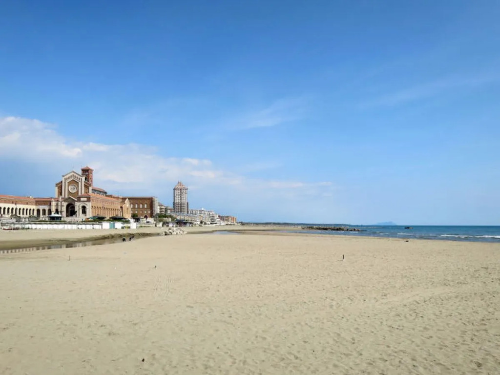 Gli Oleandri (NET105)
