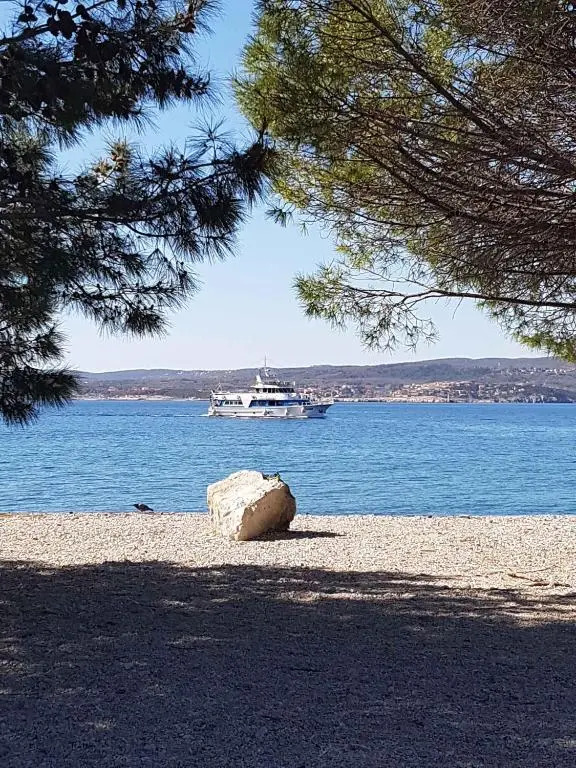 Apartments in Crikvenica 42633