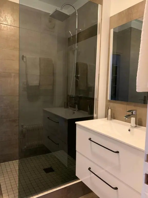 APPARTEMENT COEUR de ROANNE