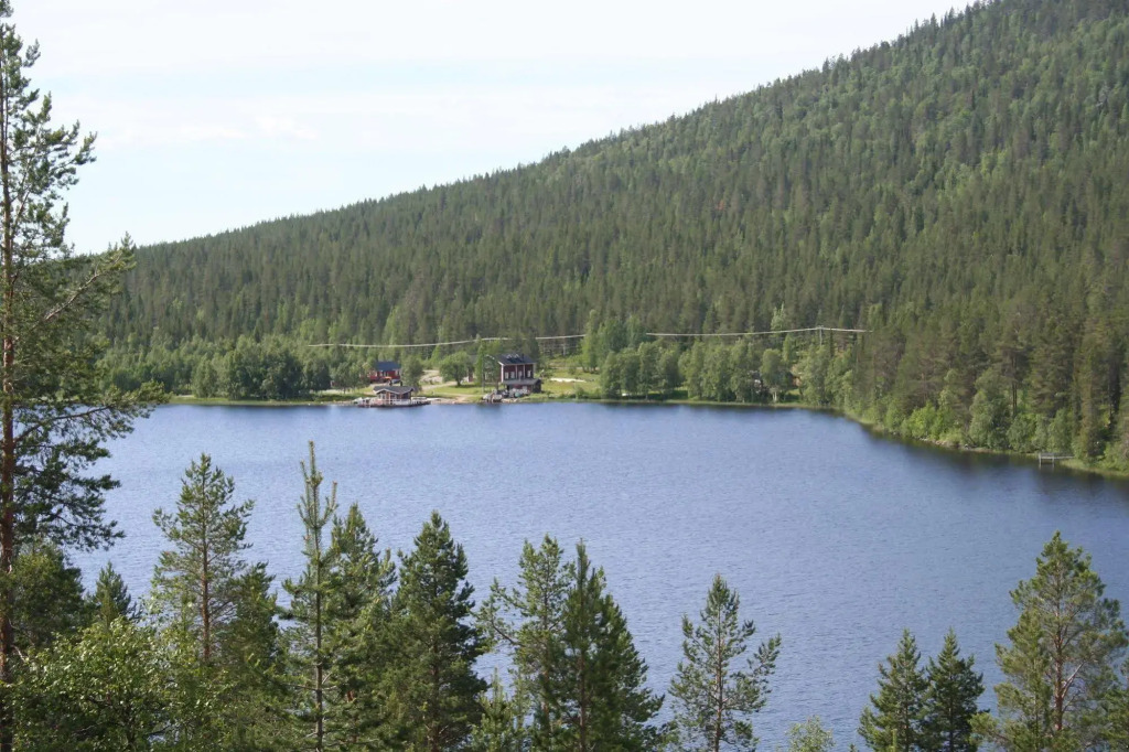 Immelkartano