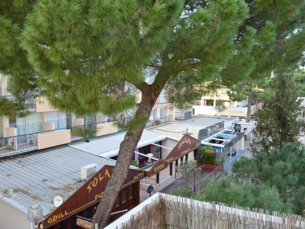 Appartement Argelès-sur-Mer, 2 pièces, 2 personnes - FR-1-225-704
