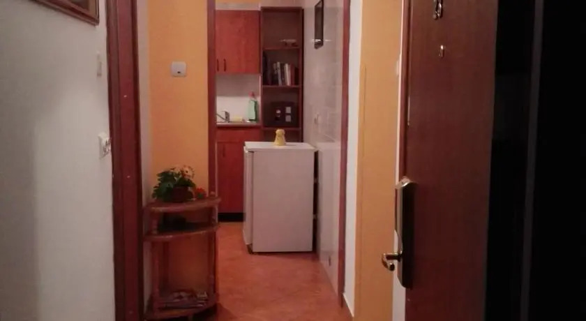 Apartament Paltin