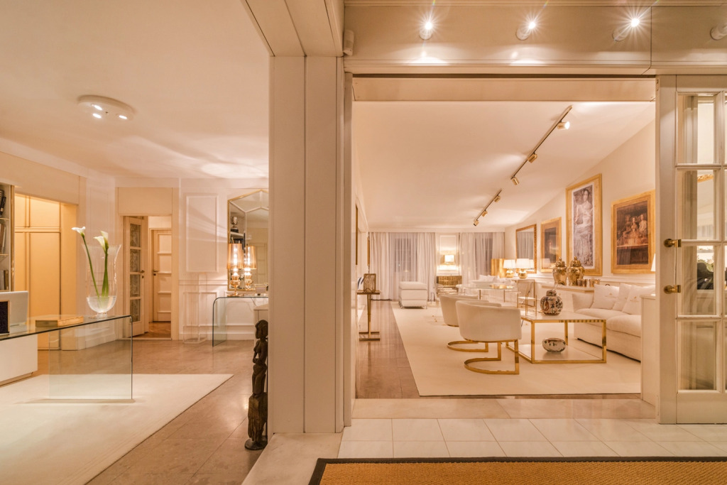 Luxury Stylish Penthouse