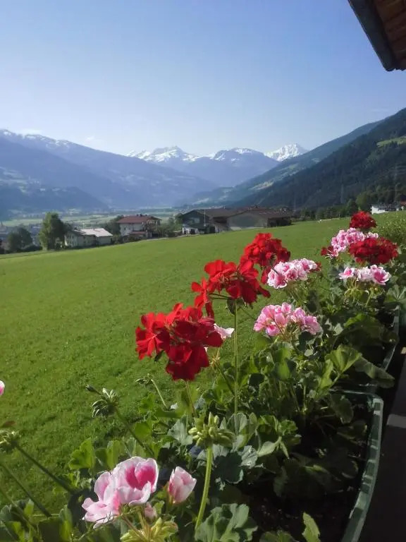 Schorpenhof