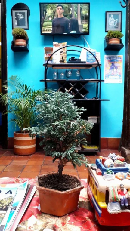 Casa Quinta Hostel
