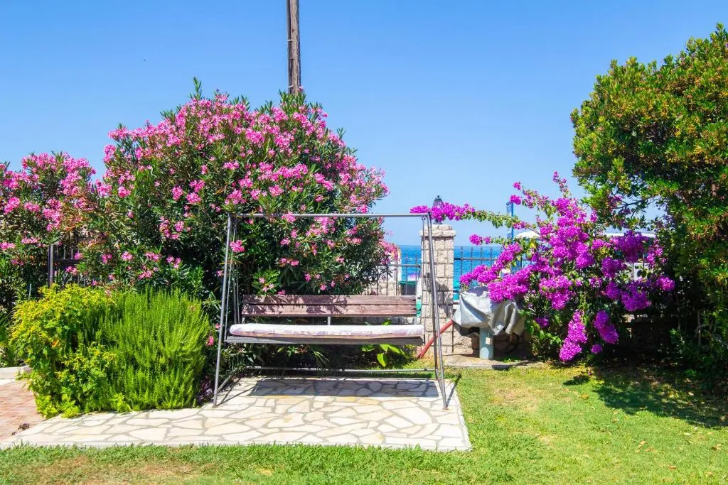 Apartments Oliva