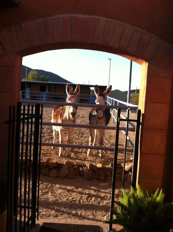 Full Circle Ranch w/ Mtn Views in Cave Creek