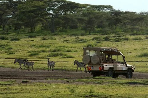 Lemala Mara Camp