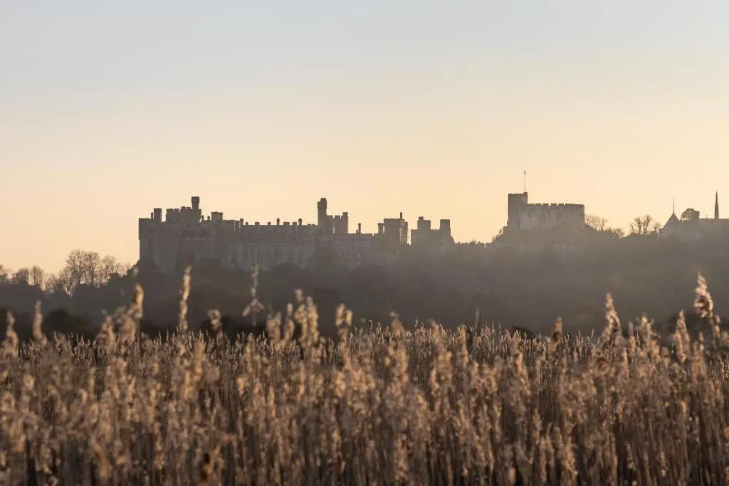 House Arundel