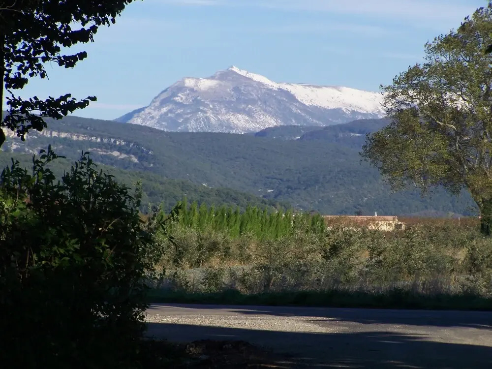 Les Cigales