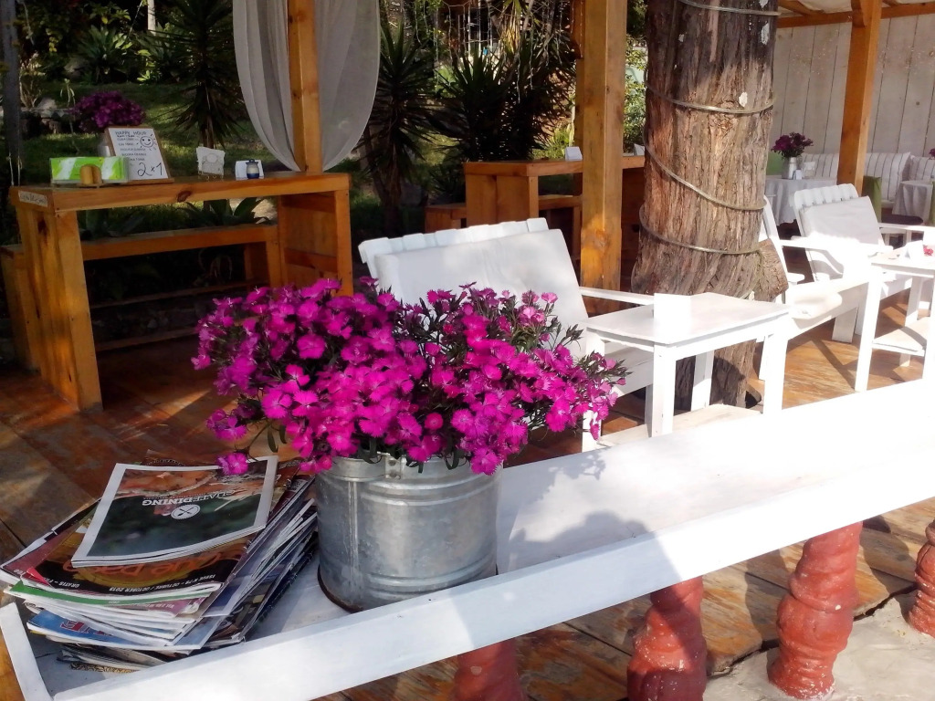 Hotel La Casa Rosa