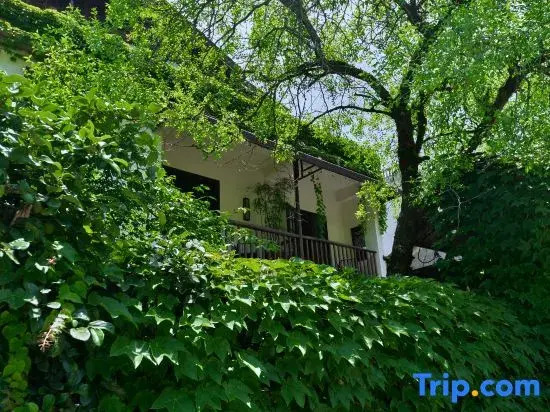 Jingdezhen Two Date Trees Villa(Sanbao International Ceramic Village)