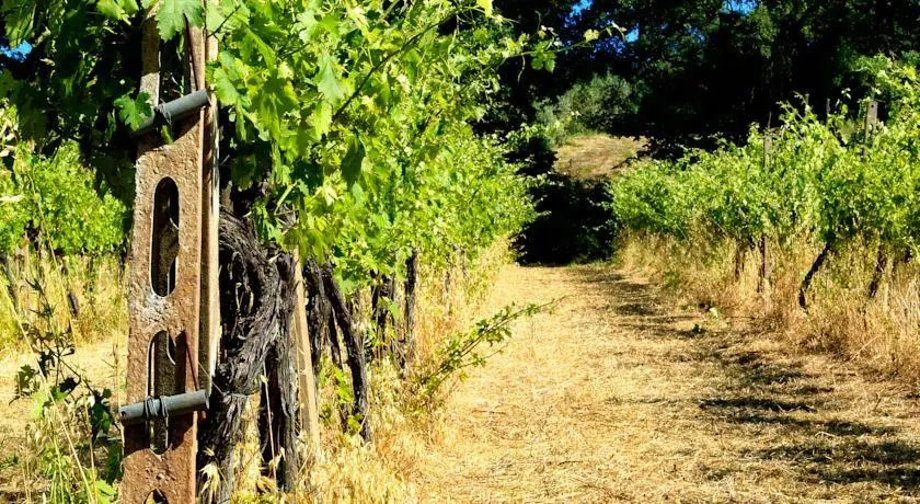 Tenuta Cavalieri di Scanzano