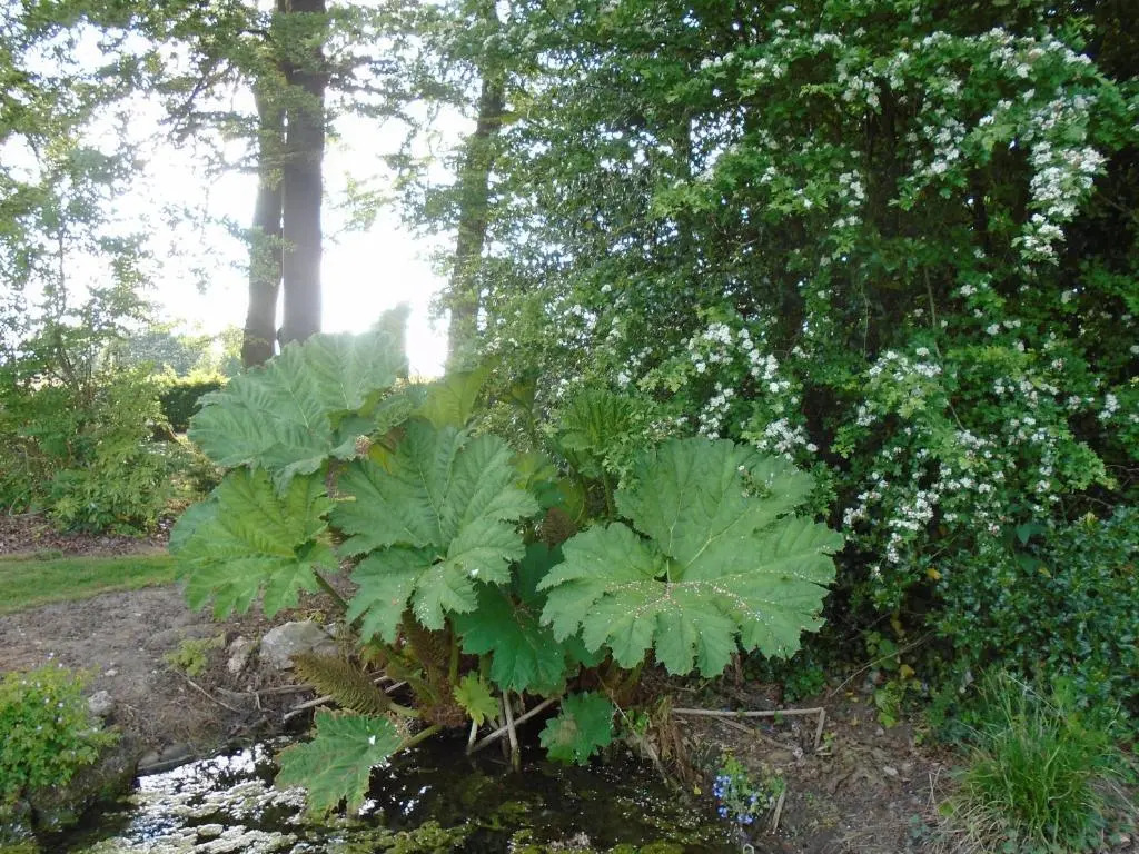 Le Gite Du Colombier