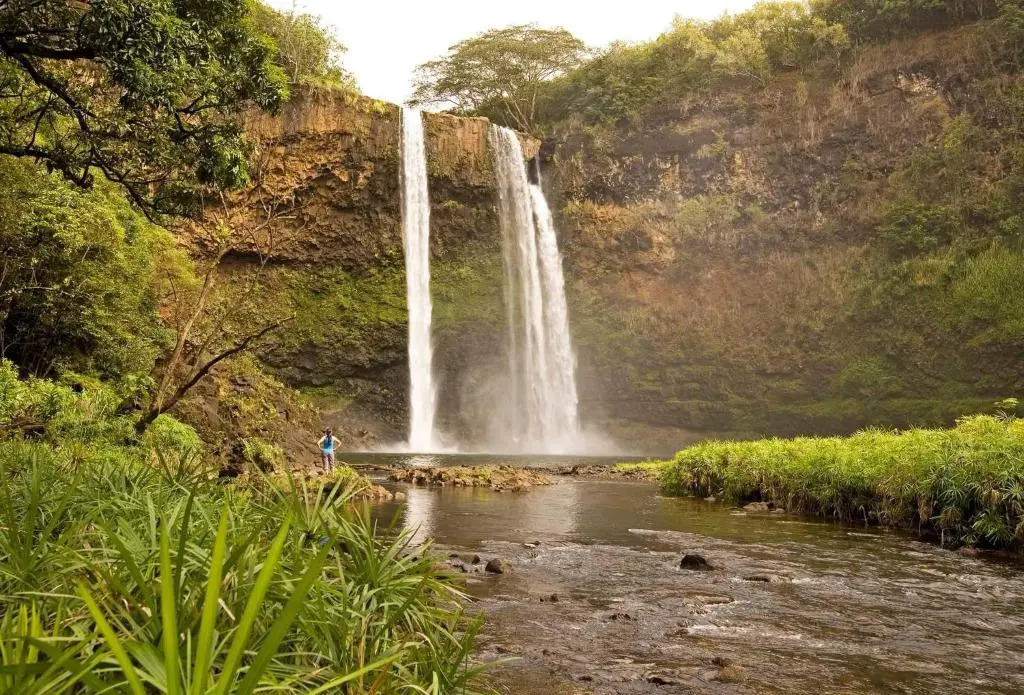 Manualoha 804