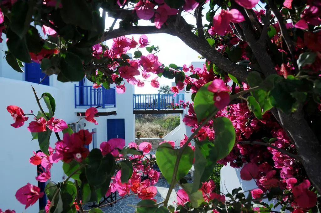 Aegeo Hotel