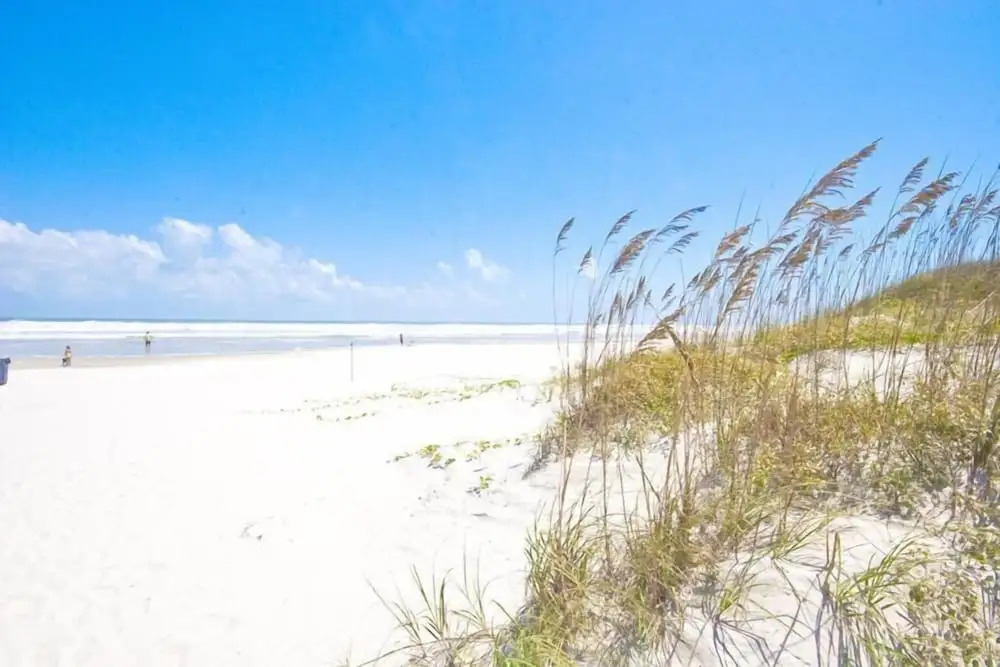 Sand Dollar I 108