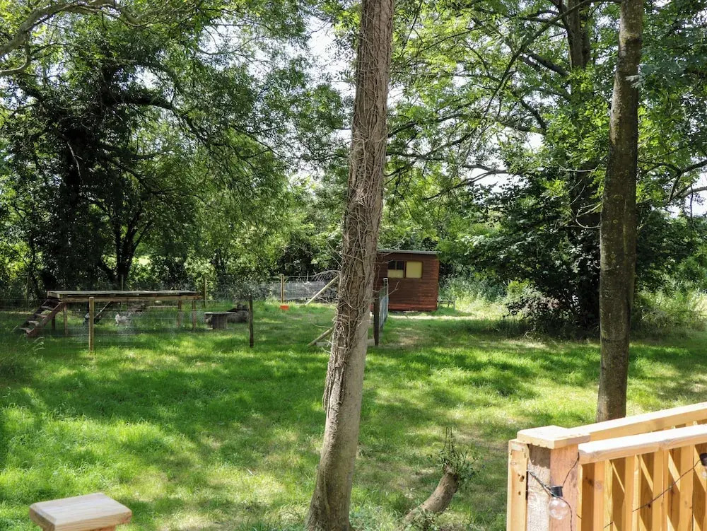 The Foxes Den Shepherds Hut