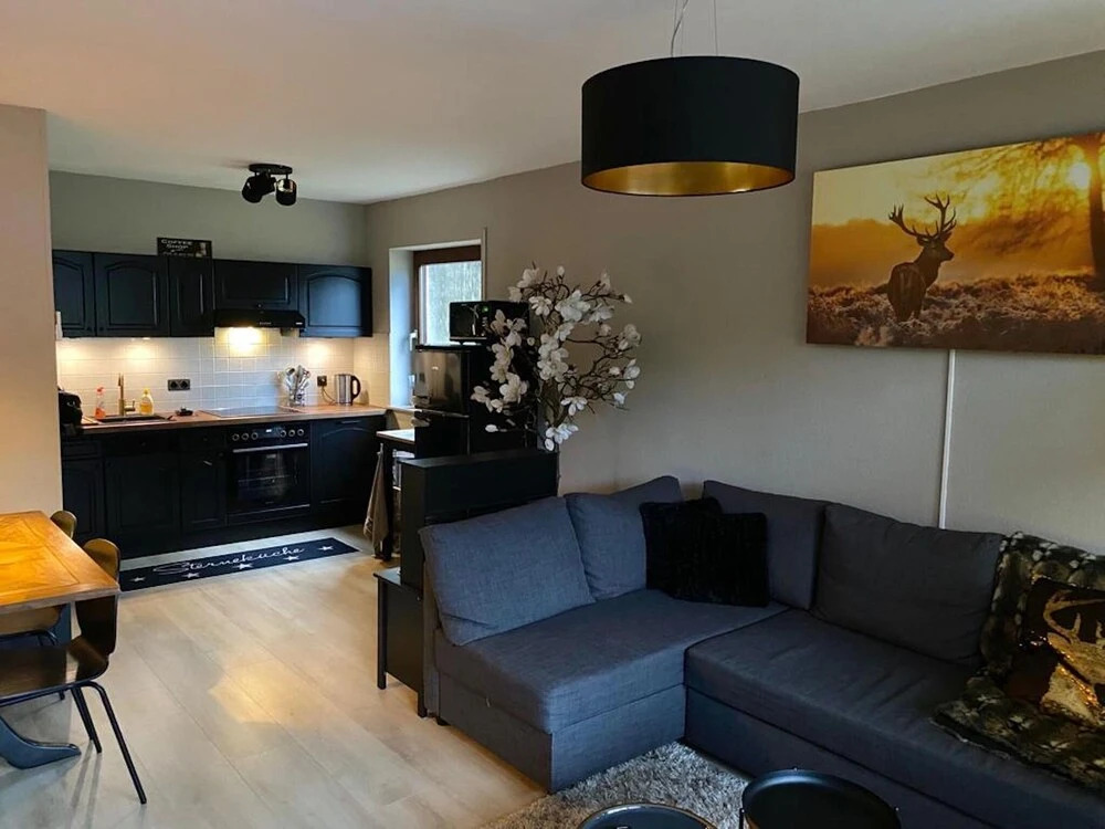 Attractive Apartment with Balcony near Winterberg