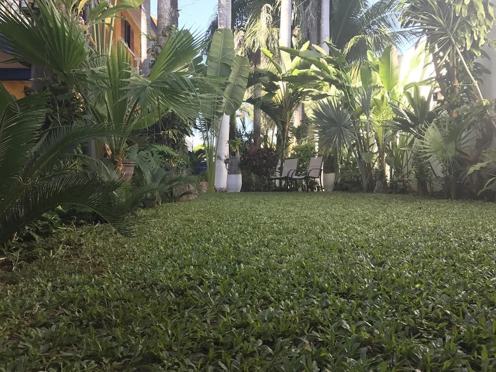 Furnished Apartments in Cozumel