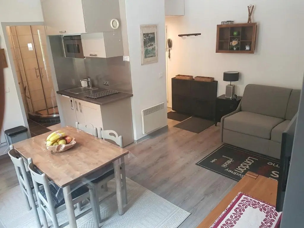 Appartement Chamonix-Mont-Blanc, 2 pièces, 4 personnes - FR-1-517-58
