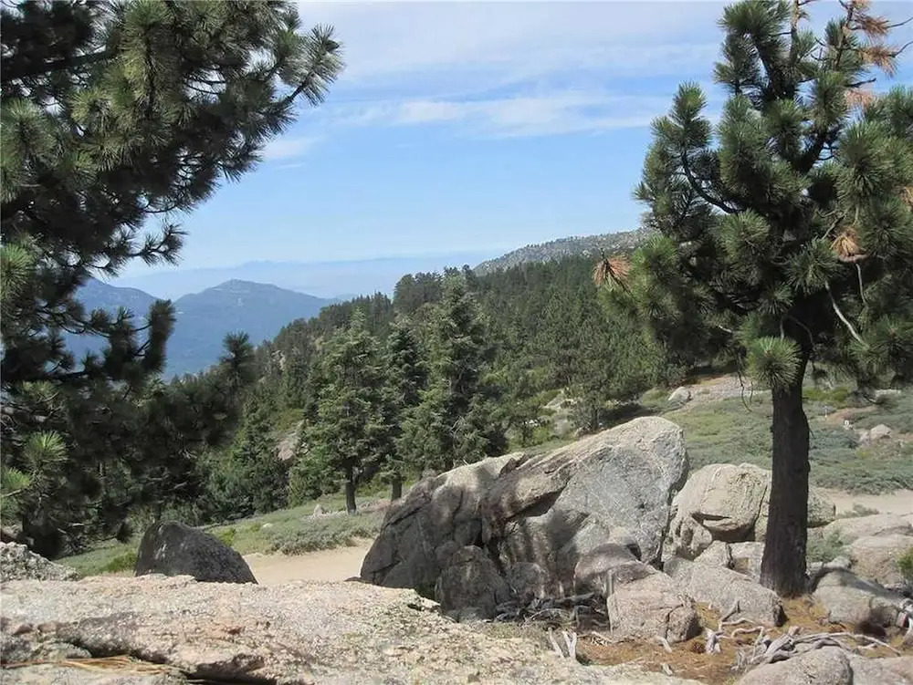 Buena Vista