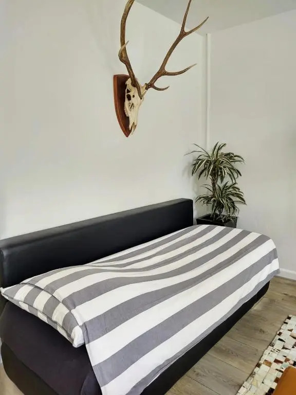 Jordaan Canal View Apartment
