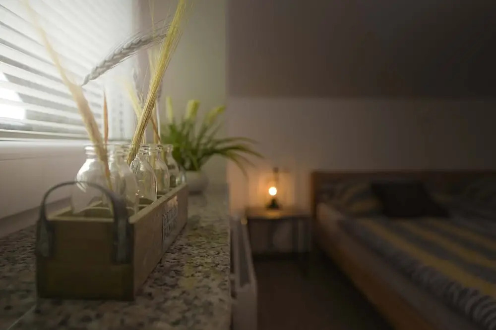 Apartments Rikli Rodine near Bled