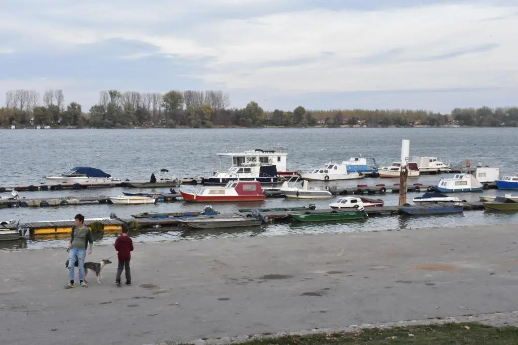 Danube star 2