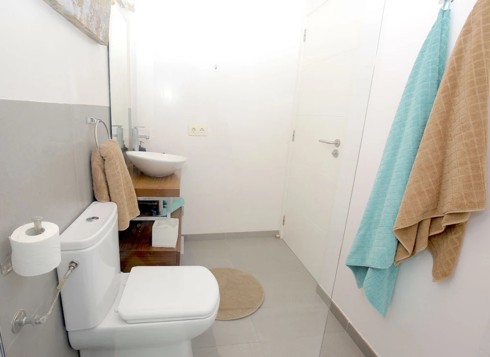 Sant Miquel Homes Penthouse