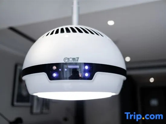 Mr. Robo Hotel (Chongqing Auditorium Jiefangbei Branch)