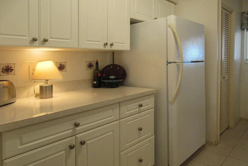 Leonardo Arms 407 - 2 Br Condo