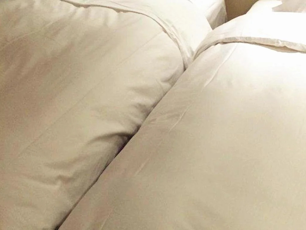 Shanxi Hotel