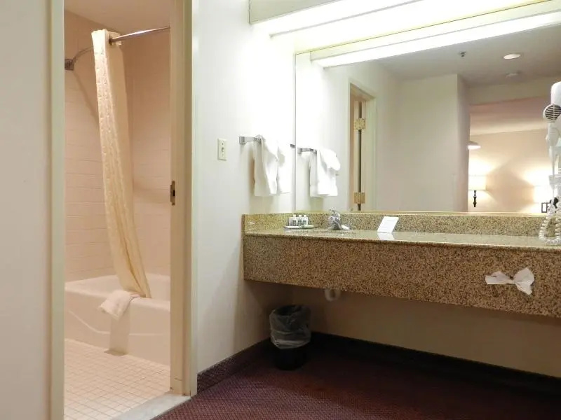 Holiday Inn Lubbock South