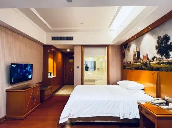 Vienna Hotel ( Ganzhou High-speed Railway West Station Jinling Road Store)