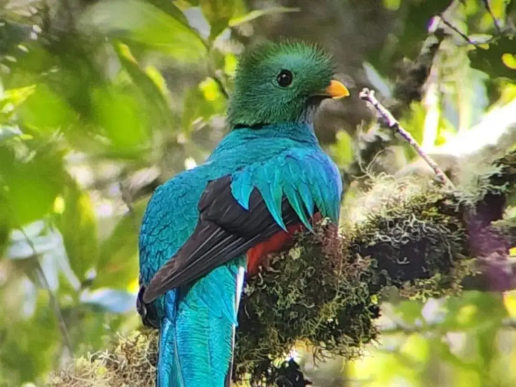 El Manantial Lodge