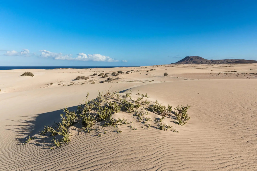 Home2Book Blue Atlantic Design Apartment