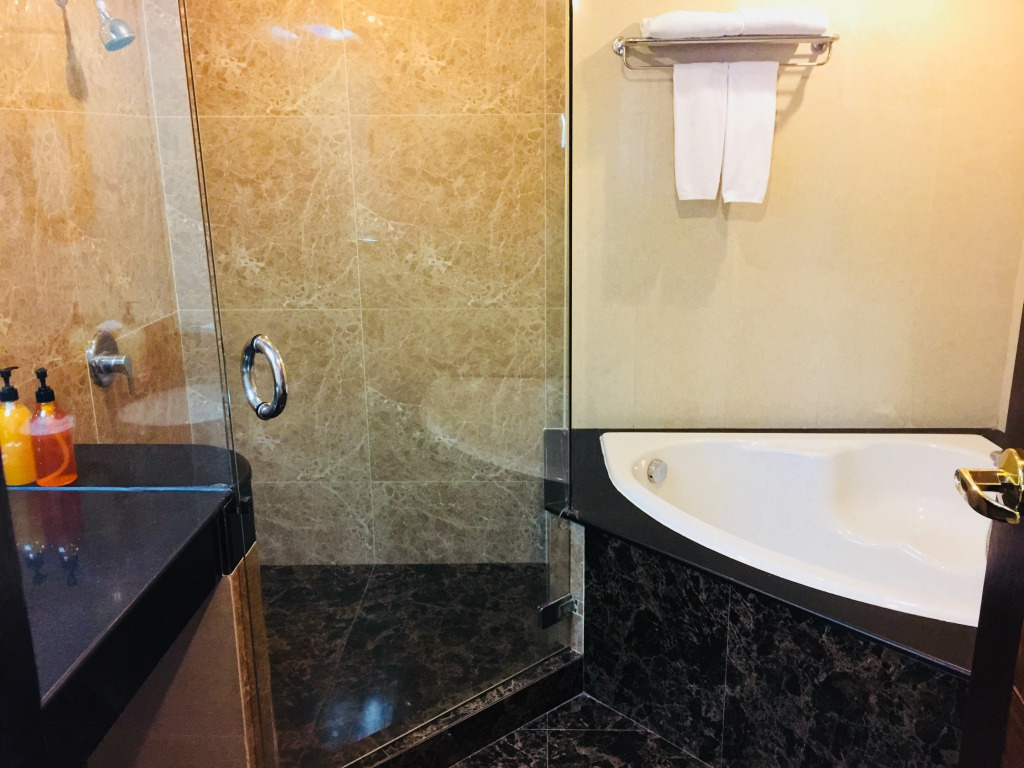 Indra Regent Hotel