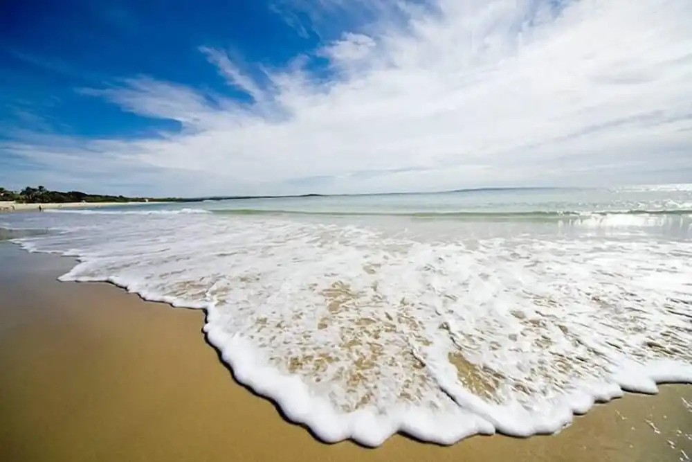 Top 1 Sunshine Beach Family Retreat