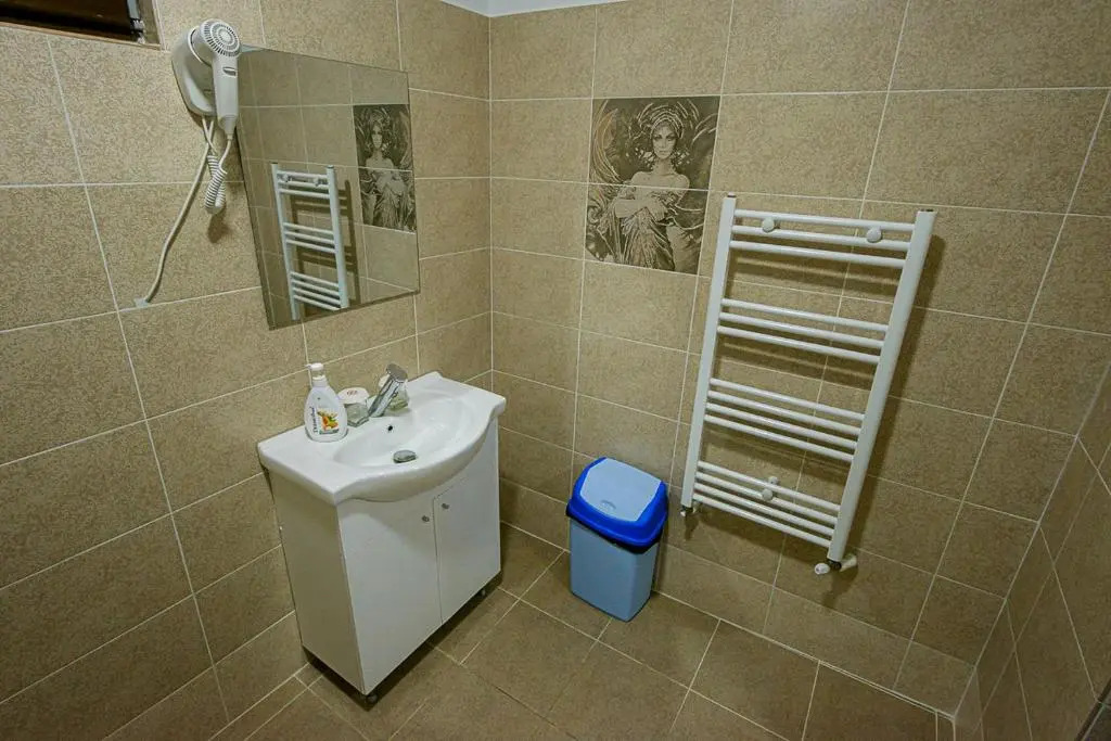 Casa Domneasca Riana