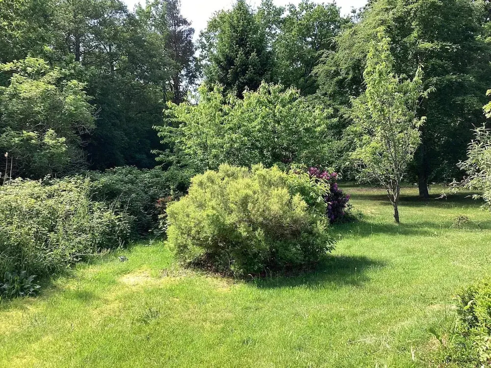 6 Person Holiday Home in Laeso