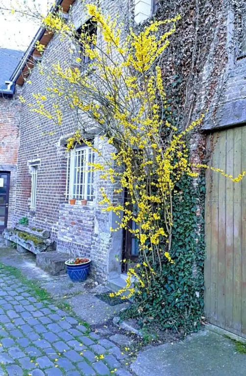 Au Moulin de lAndelle