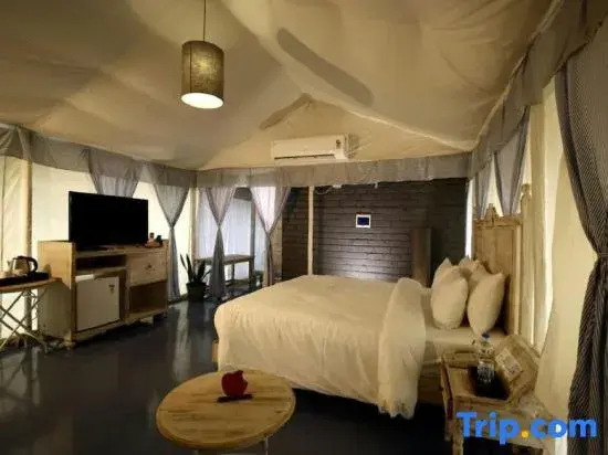 The Fern Seaside Luxurious Tent Resort Daman, Series by Marriott